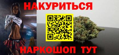 альфа пвп Новодвинск