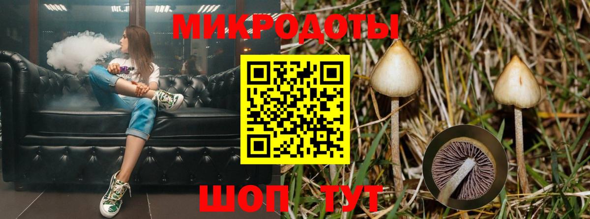 Псилоцибиновые грибы ЛСД Тверь